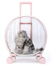 A pink Airline-approved cat carrier with a grey cat inside