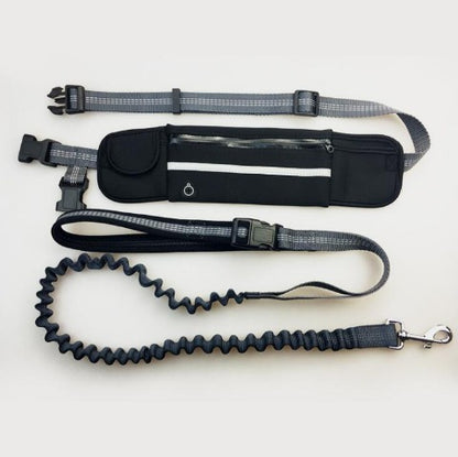 Black Dog leash for running