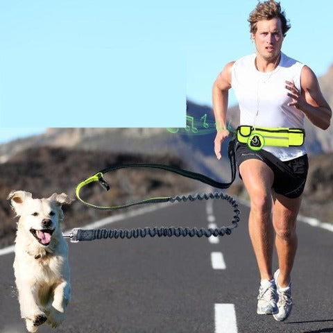 Runner wearing a Hands Free Dog Leash