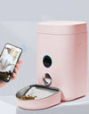 Pink Dog Feeder activated by a phone