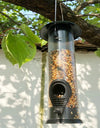 Automatic Outdoor Bird Feeder: full of grains 