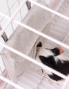 Guinea pig eating in a grey Pet Food Bag in a cage