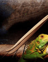 Bamboo feeding tongs next to a lizard