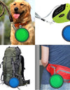 Hiking Dog Bowls's practical ways to use them