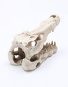 Reptile skull aquarium ornament