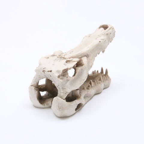 Reptile skull aquarium ornament