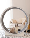 A cat in a Marvelous Cat Exercise Wheel