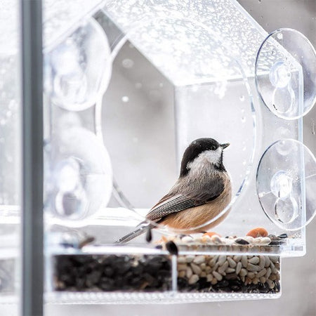 Smart Bird Feeder With Camera's Birdcage