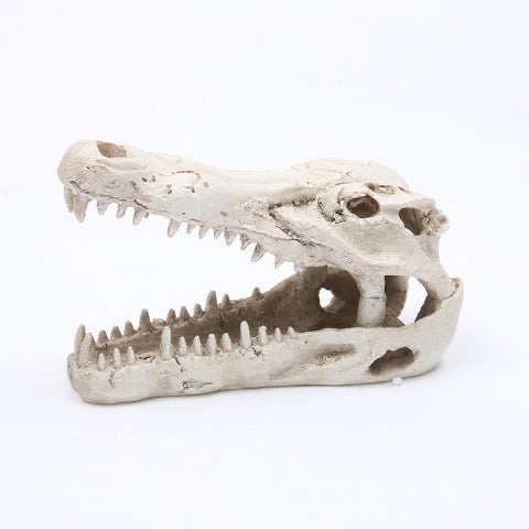 Reptile skull aquarium ornament