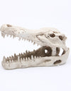 Reptile skull aquarium ornament