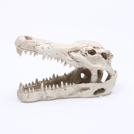 Reptile skull aquarium ornament