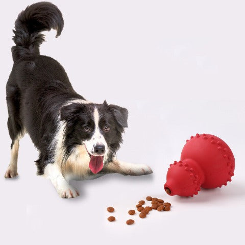 Red Food Dispensing Toy next to a dog