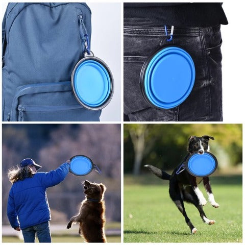 Camping Dog Bowls's practical ways to use them 