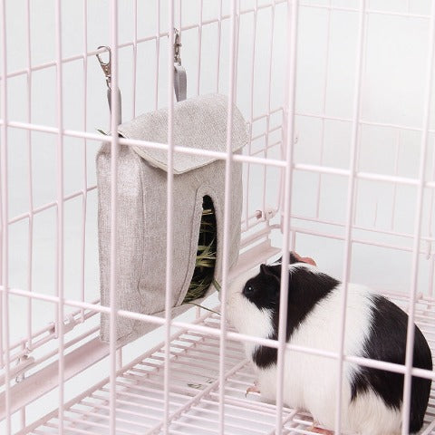 Guinea pig eating from a grey Guinea Pig Feed Bag in a cage