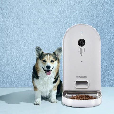 Light grey WiFi Pet Feeder next to a corgi 