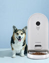 Light grey WiFi Pet Feeder next to a corgi 