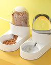 Pet Feeder Station for Cats