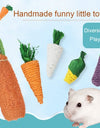 Display of different variety of Fake Vegetables for Small Pets