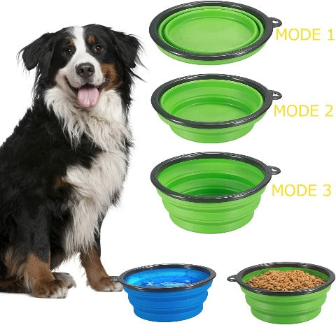 Travel Dog Bowls next to dog