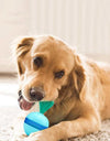 A dog biting the Automatic dog treat dispenser