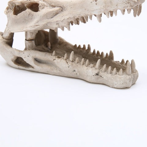 Reptile skull aquarium ornament