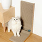 A white cat nest to a Cat Scratching Post