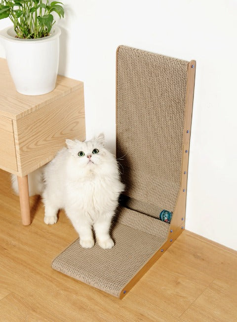 A white cat nest to a Cat Scratching Post