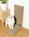 A white cat nest to a Cat Scratching Post